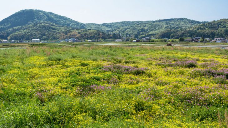 相続登記の義務化について①