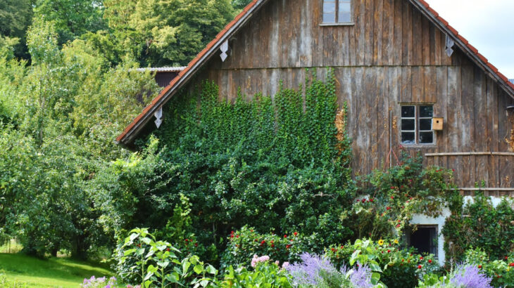 空き家を放置していませんか？